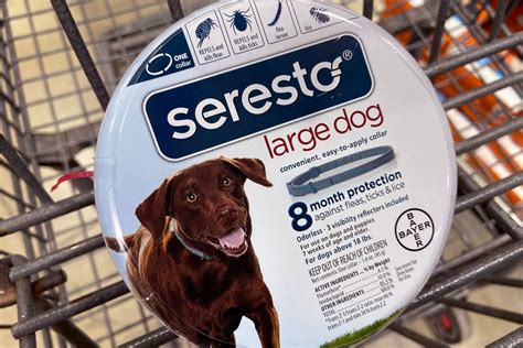 Seresto collar recall - In 2020 alone, about 7 million Seresto collars were applied to pets in the U.S., with the product indicated for up to eight months of use. Importantly, the rate of incident reports for pets wearing Seresto collars is low and has been decreasing over time. In 2021, it was 17.26 per 10,000 collars sold.